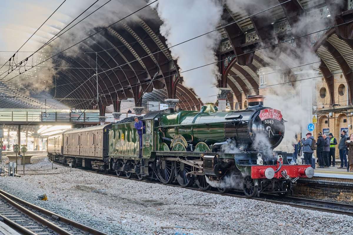 The Christmas White Rose to York