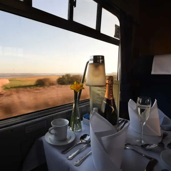 Dining in train car