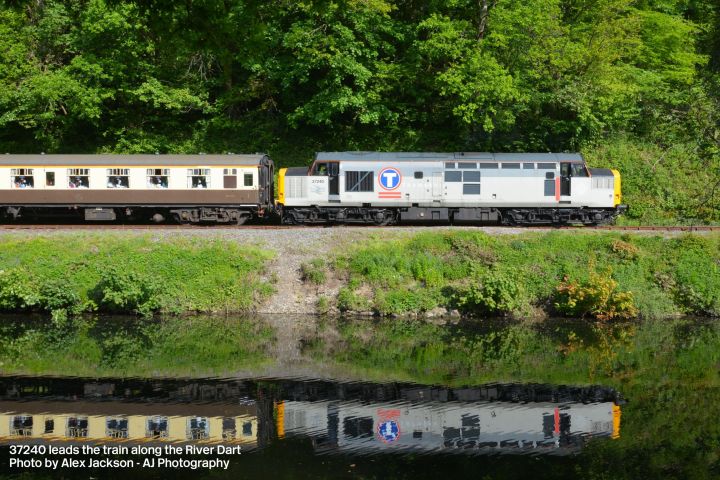 a train traveling down train tracks near a forest