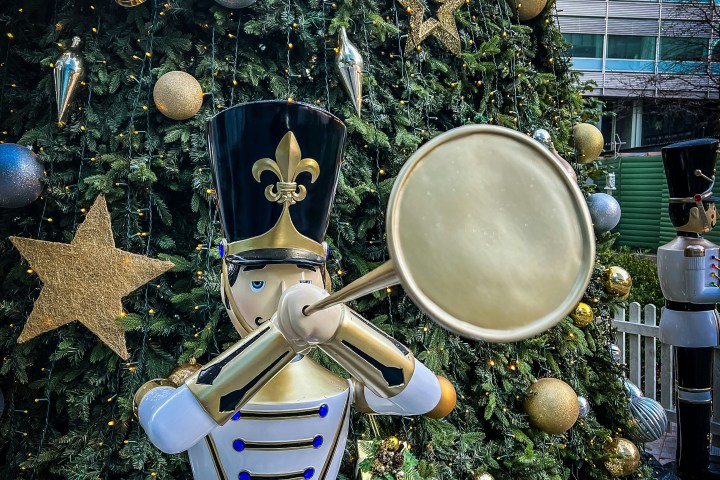 a display in a garden
