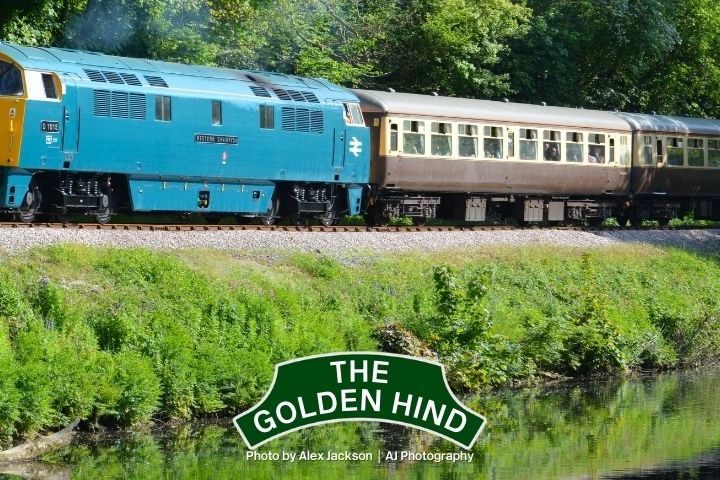 Vintage blue and yellow train passing through lush greenery by a calm river.