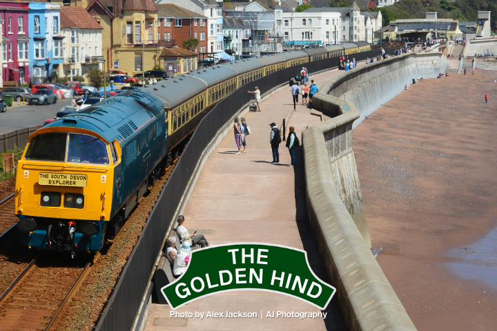 Train passing by seaside town with beach and pedestrians on a sunny day.